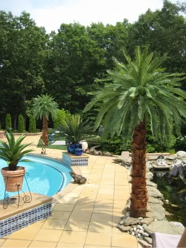 Outdoor Canary Date Artificial Palm Tree