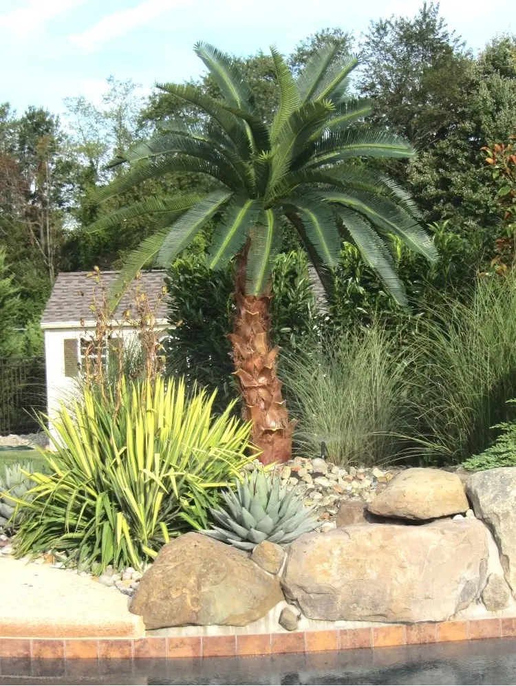 Canary Date Artificial Palm Tree