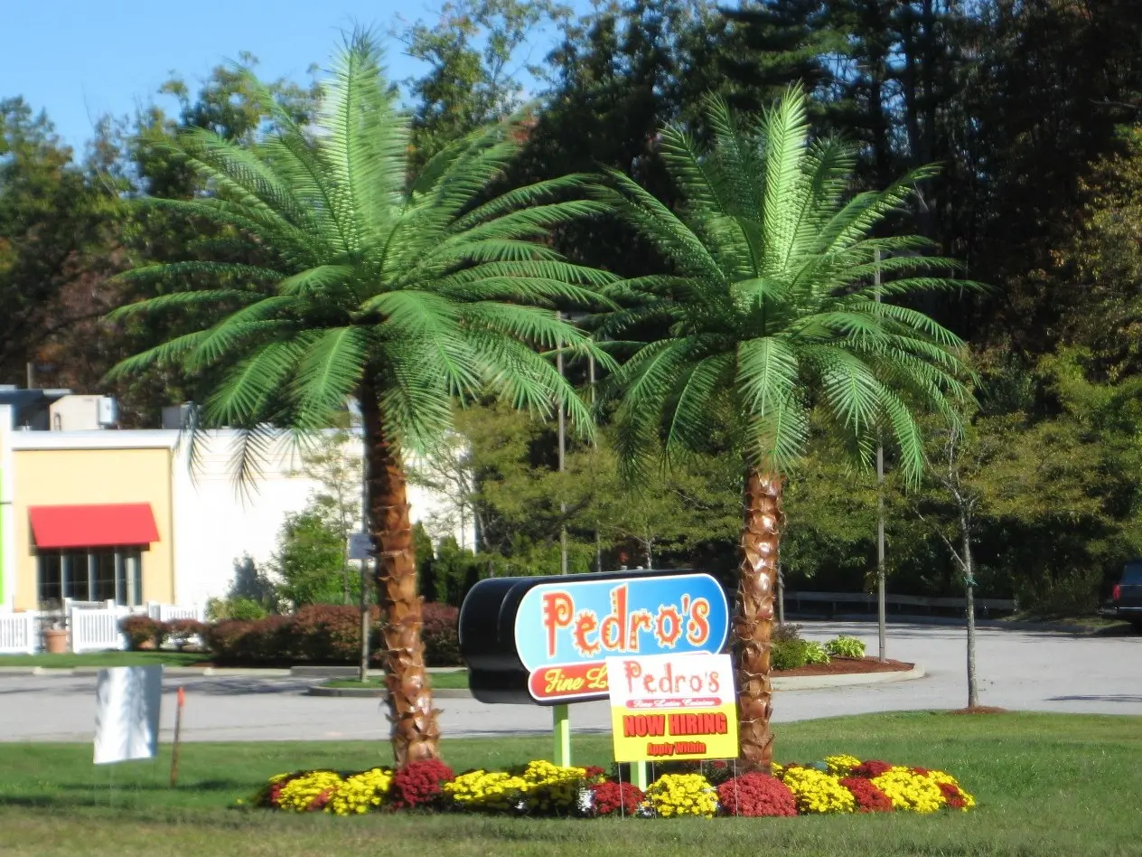 Outdoor Artificial Phoenix Date Palms