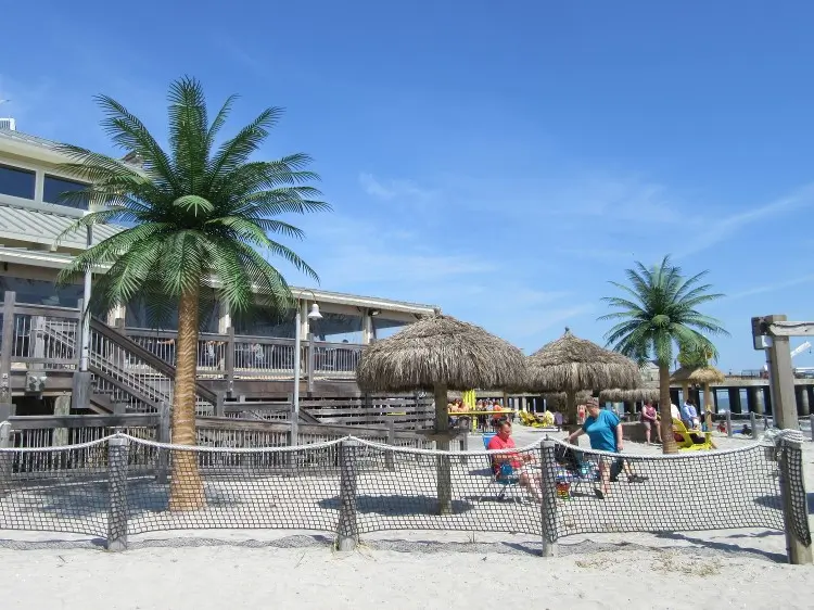 Outdoor Artificial Coconut Palm Trees