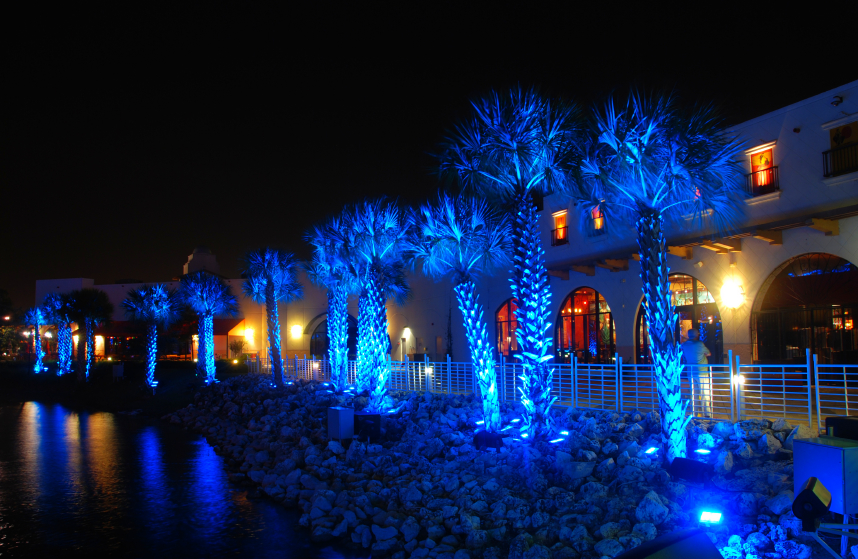 Lighted_Palm_Tree_3