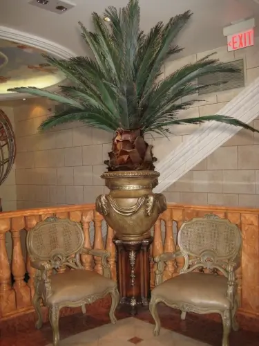 Bottle Palm Silk Plants Indoor Palm Trees